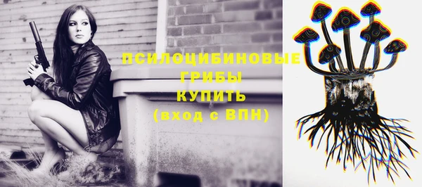МДМА Заволжск