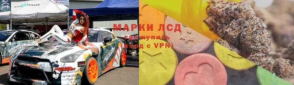 амф Зерноград