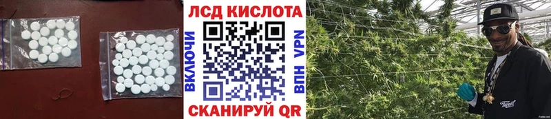 маркетплейс клад  Каменногорск  Лсд 25 экстази кислота  МЕГА рабочий сайт 